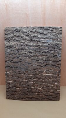 Cork Bark Background Panel 45x60cm - 3