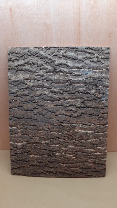 Cork Bark Background Panel 45x60cm - 3