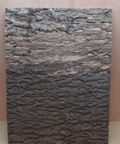 Cork Bark Background Panel 45x60cm - 5
