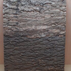 Cork Bark Background Panel 45x60cm - 5