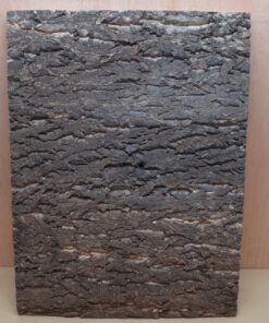 Cork Bark Background Panel 45x60cm - 6
