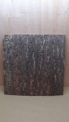Cork Bark Background Panel 60x60cm - 5