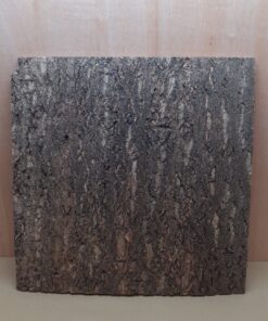 Cork Bark Background Panel 60x60cm - 5