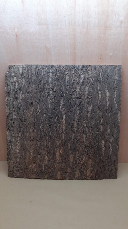 Cork Bark Background Panel 60x60cm - 5
