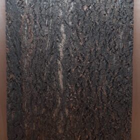 Cork Bark Background Panel 90x60cm - 6