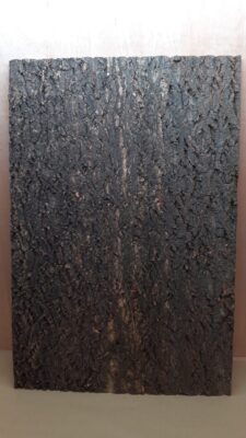 Cork Bark Background Panel 90x60cm - 9