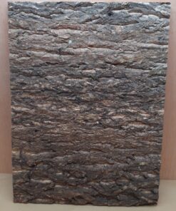 Cork Bark Background Panel 45x60cm - 4