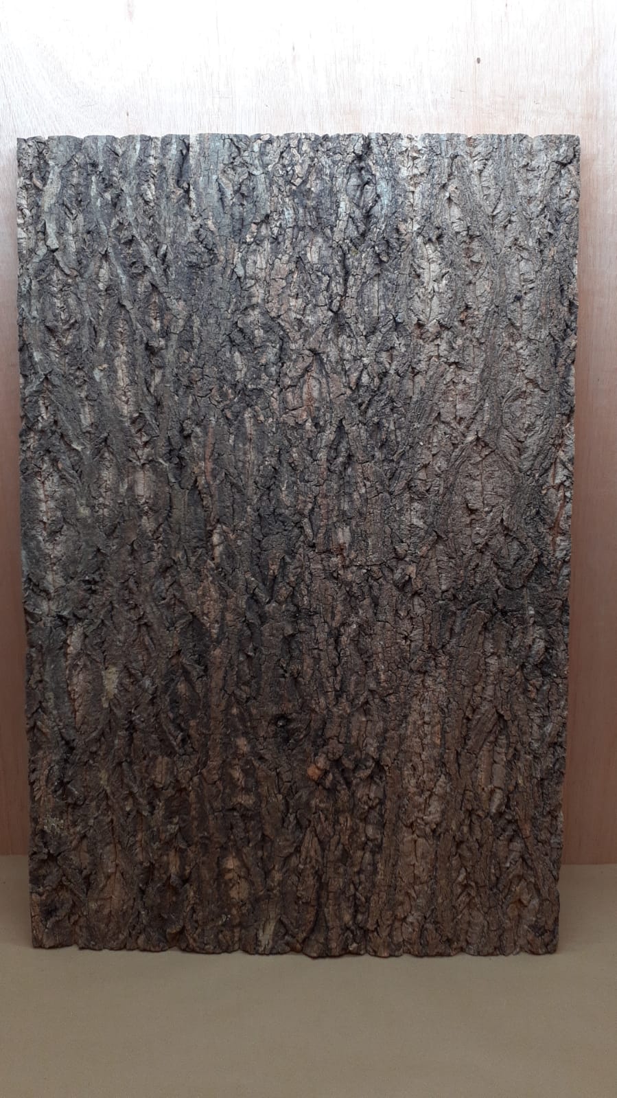 Cork Bark Background Panel 90x60cm - 2