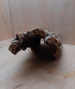 Medium Cork Hide 16