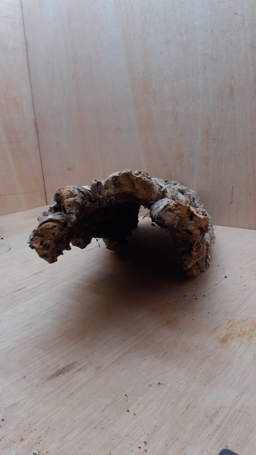Medium Cork Hide 16