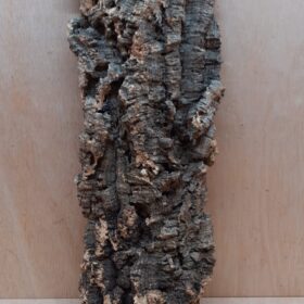 Large Cork Flat 16