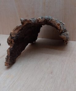 Medium Cork Hide 17
