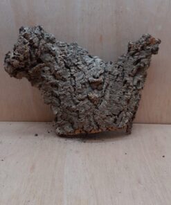 Large Cork Flat 17