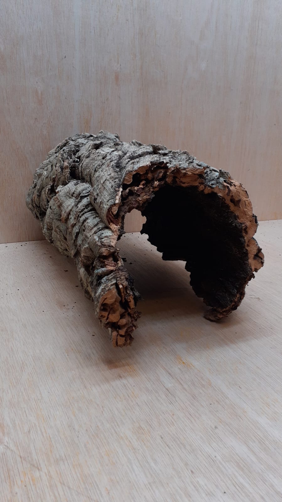 Medium Cork Hide 18