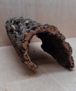 Medium Cork Hide 3