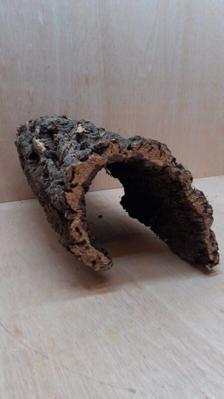 Medium Cork Hide 3