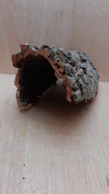 Medium Cork Hide 4