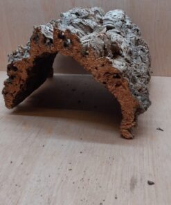 Large Cork Hide 5