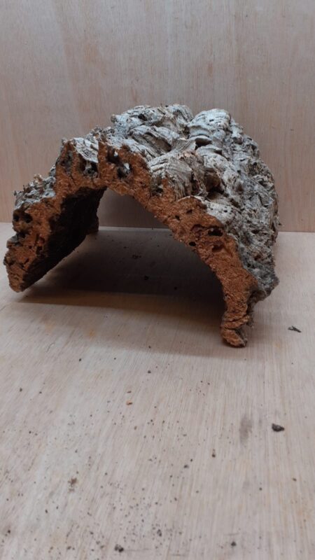 Large Cork Hide 5