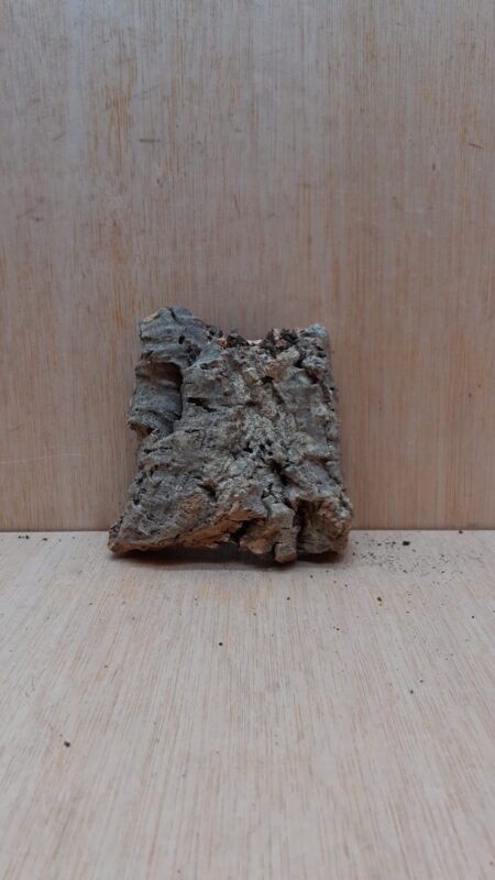 Small Cork Flat 5