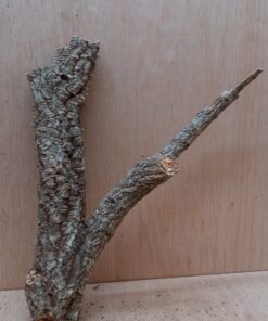 Small Cork Branch - Upto 40cm - 5
