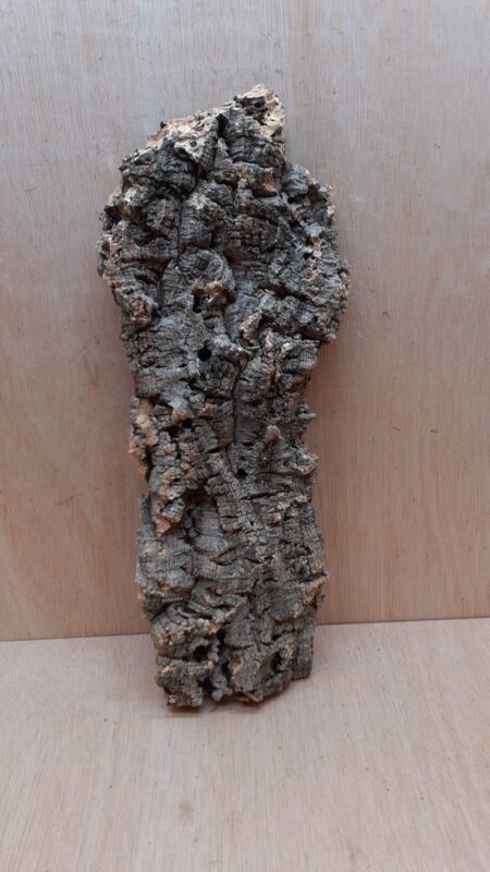 Large Cork Flat 5