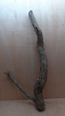 Large Cork Branch - 80-110cm - 6