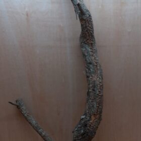 Large Cork Branch - 80-110cm - 6