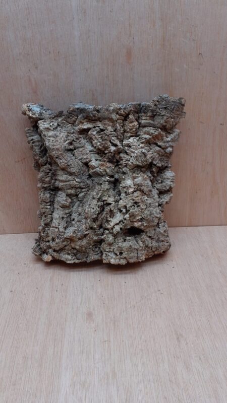 Medium Cork Flat 6