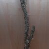 Large Cork Branch - 80-110cm - 7