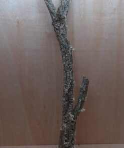 Large Cork Branch - 80-110cm - 7