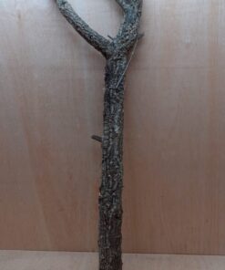 Large Cork Branch - 80-110cm - 9