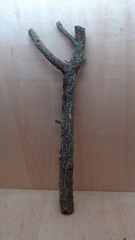 Large Cork Branch - 80-110cm - 9