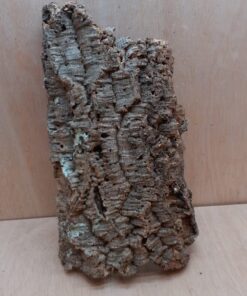 Large Cork Flat 9