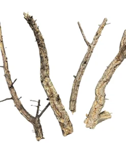 Large Cork Branches - 80-110cm