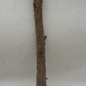 Medium Cork Branch - 40-80cm - 13