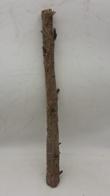 Medium Cork Branch - 40-80cm - 13