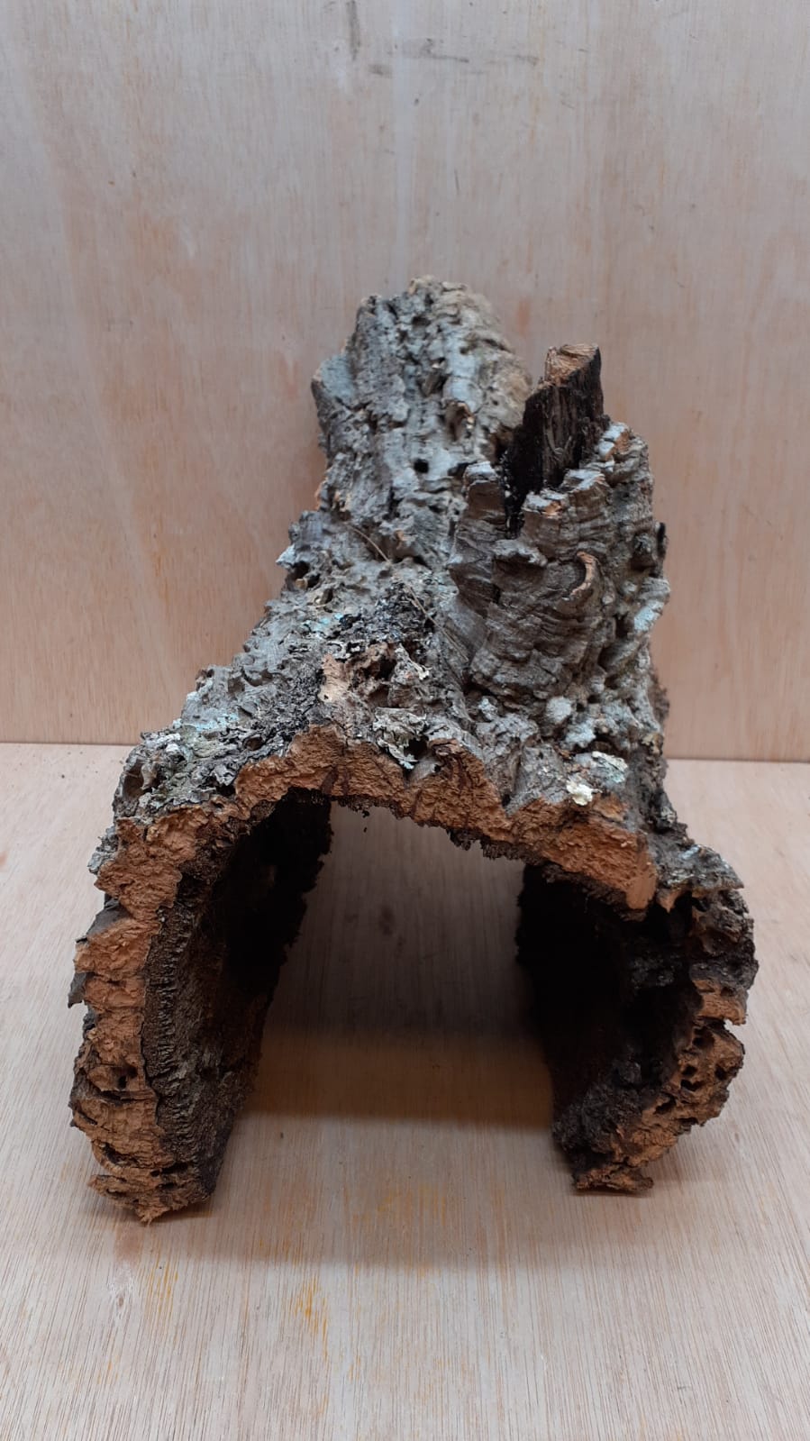 XL Cork Hide 2