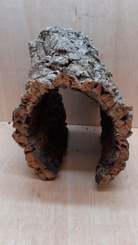 XL Cork Hide 5