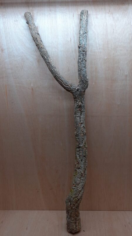 Large Cork Branch - 80-110cm - 5
