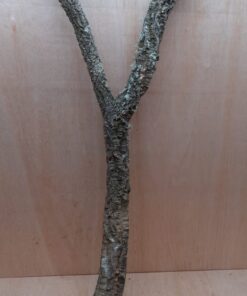 Large Cork Branch - 80-110cm - 17