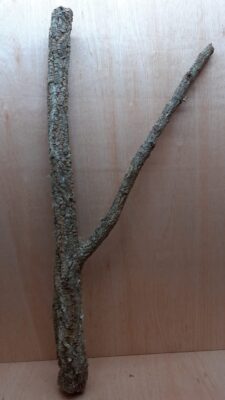 Large Cork Branch - 80-110cm - 22