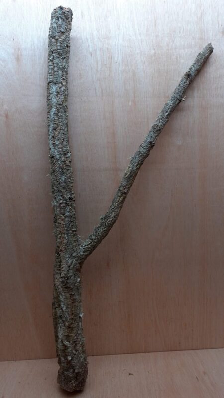 Large Cork Branch - 80-110cm - 22
