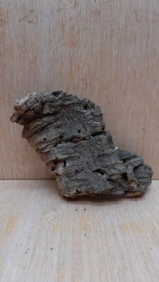 Small Cork Flat 22