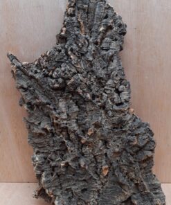 Large Cork Flat 20