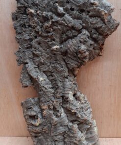 Large Cork Flat 25