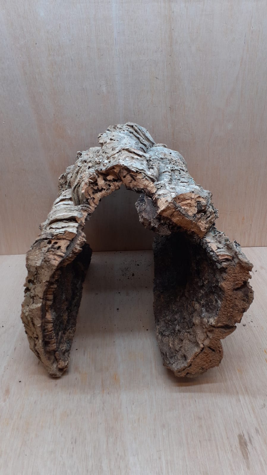 XL Cork Hide 4