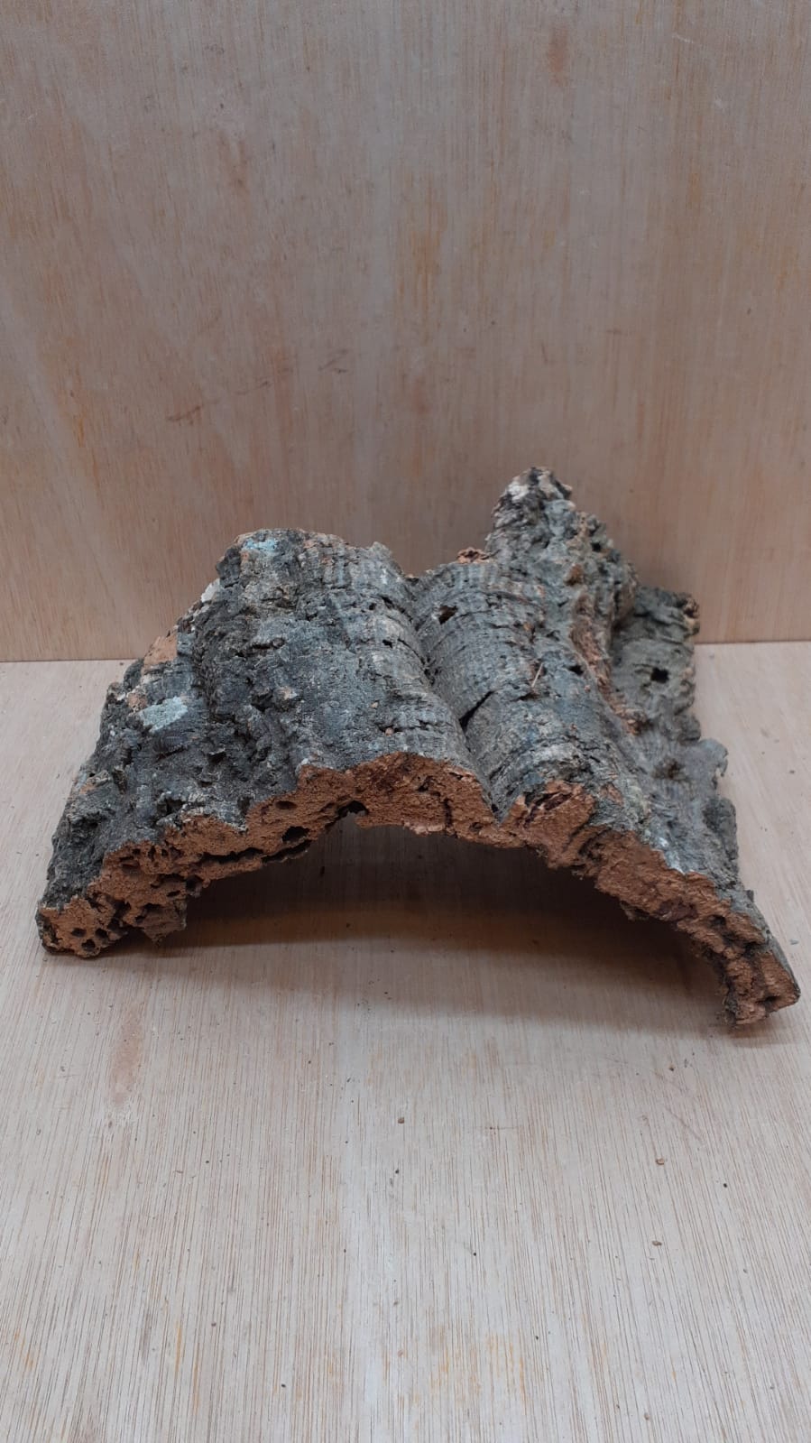 Medium Cork Hide 28