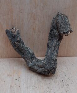Small Cork Branch - Upto 40cm - 28