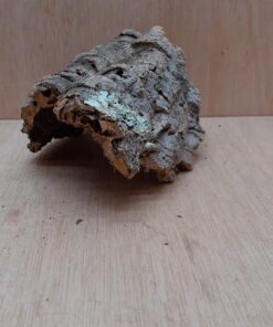 Small Cork Hide 6
